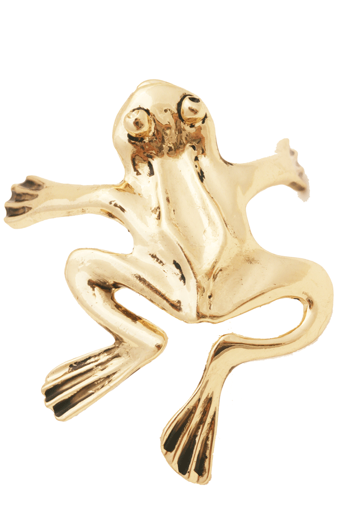 Hair Hook Frog - Gold Ponytail Holder